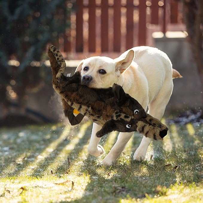 Chew Toys for Dogs, Cute Durable Fabric Interactive Interactive Dog Toy - Image 3