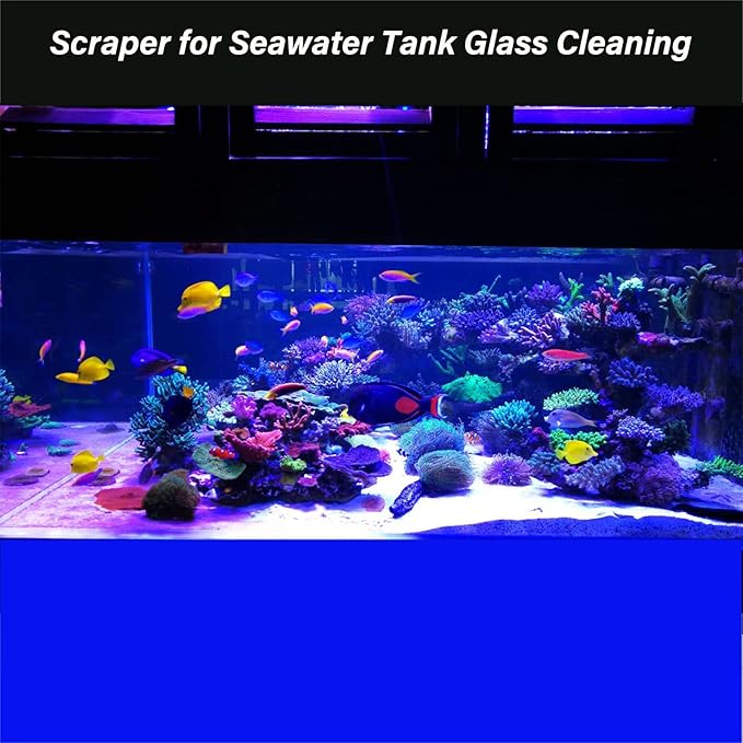 Vimvins Algae Scraper for Glass Aquarium, Aquarium Razor Scraper - Image 4