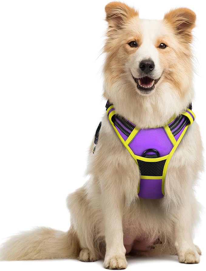 rabbitgoo Dog Harness No Pull by rabbitgoo