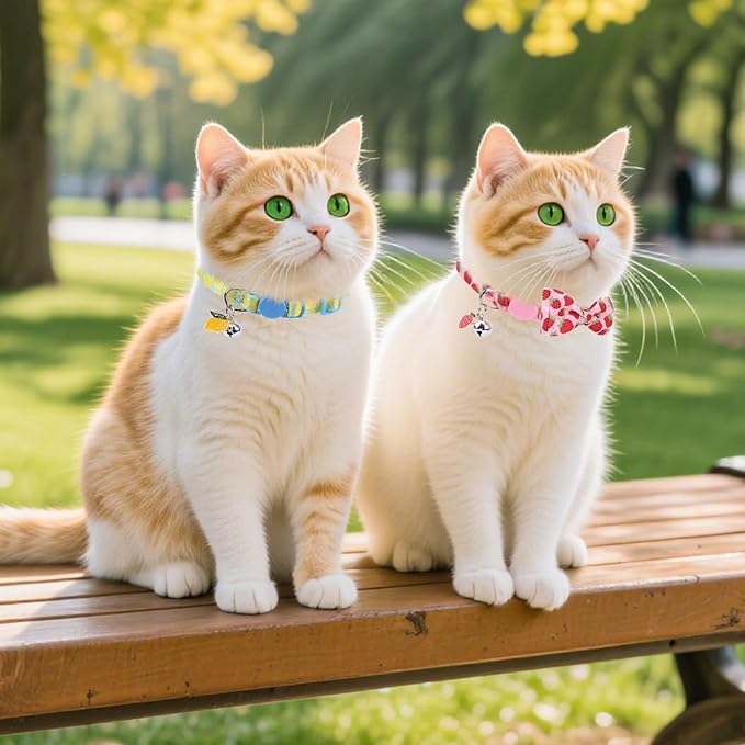 PUPTECK Cat Collar Breakaway - Image 3