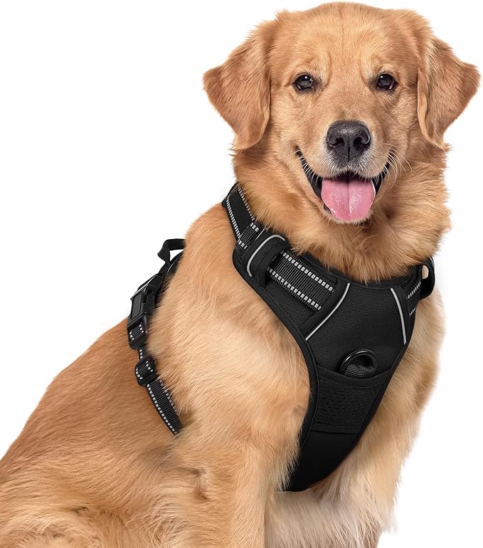 rabbitgoo Dog Harness No Pull by rabbitgoo