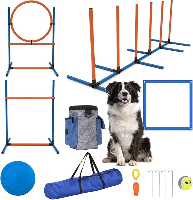 Sedeke 4 Sets Pets Agility Training Equipment by Sedeke