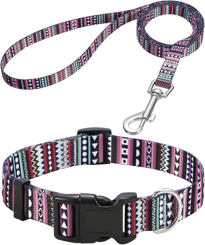 Mihqy Dog Collar and Leash Set by Mihqy
