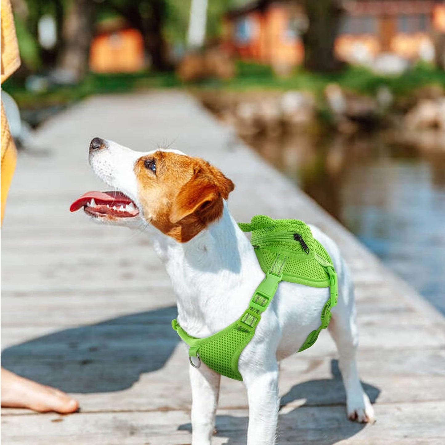 IDOMIK Dog Backpack Harness, No-Pull Dog Backpack with D-Ring for Small Medium Dogs, Cute Self Carrier Backpack for Dogs to Wear, Adjustable Dog Harness Backpack for Traveling Camping Hiking, Frog, S