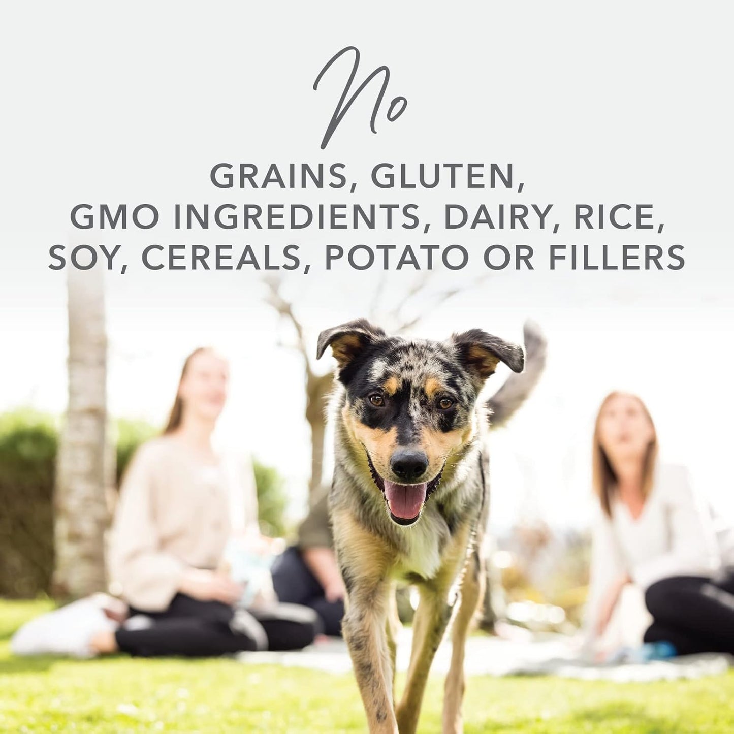 K9 Natural - Grain Free Freeze Dried Dog Food - Lamb & Salmon, 4lb
