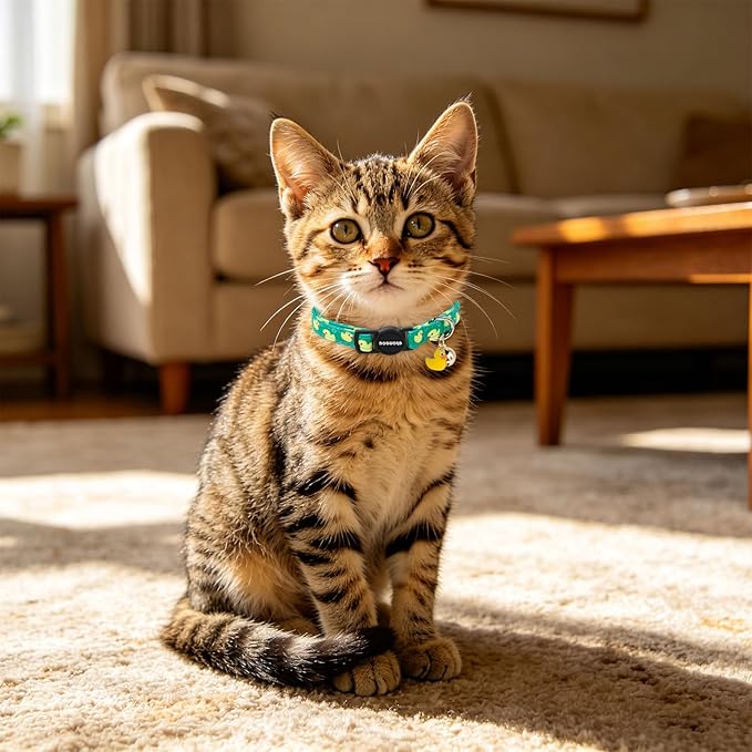 2 Pack Summer Duck Kitten Collar Breakaway - Image 6
