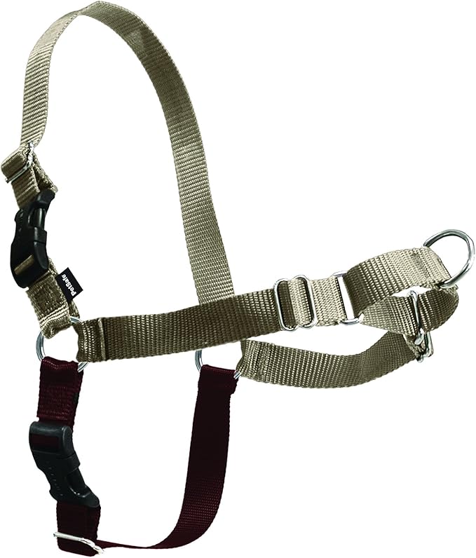 PetSafe Easy Walk No-Pull Dog Harness - Image 4