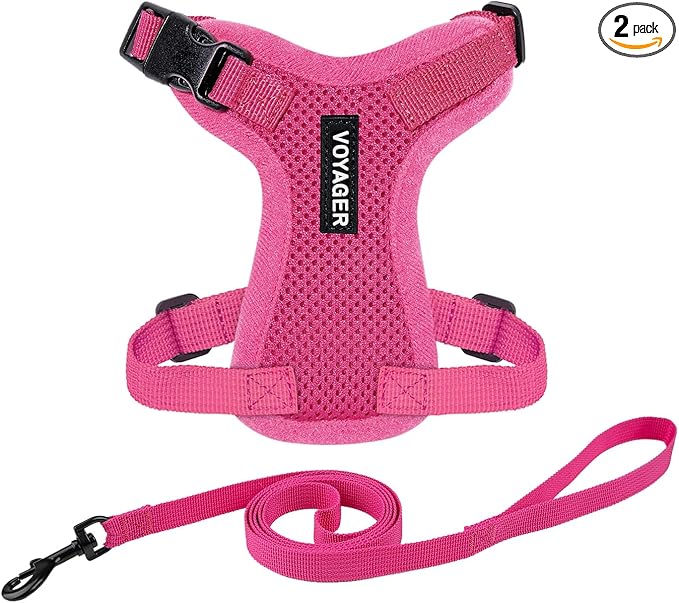 Voyager Escape-Proof Step-in Lock Cat Harness & 5ft Neoprene-Handle Leash Set by BestPetSuppliesLLC
