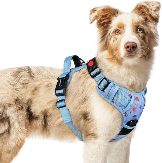 rabbitgoo Dog Harness Medium Sized, No Pull Easy On & Off by rabbitgoo