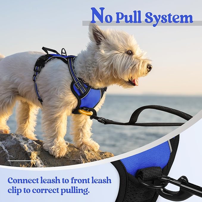 rabbitgoo Dog Harness No Pull - Image 5