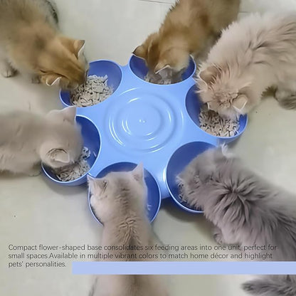 DOERDO Cat Feeding Bowl, Plastic Cat and Dog Food Bowl - Image 7