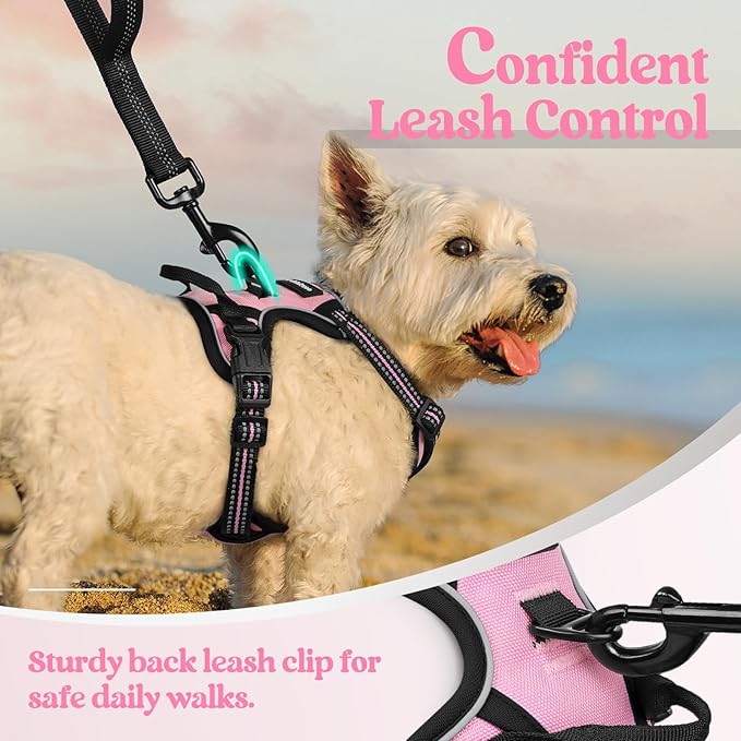 rabbitgoo Dog Harness No Pull - Image 6