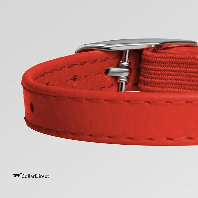 CollarDirect Leather Cat Collar - Image 4