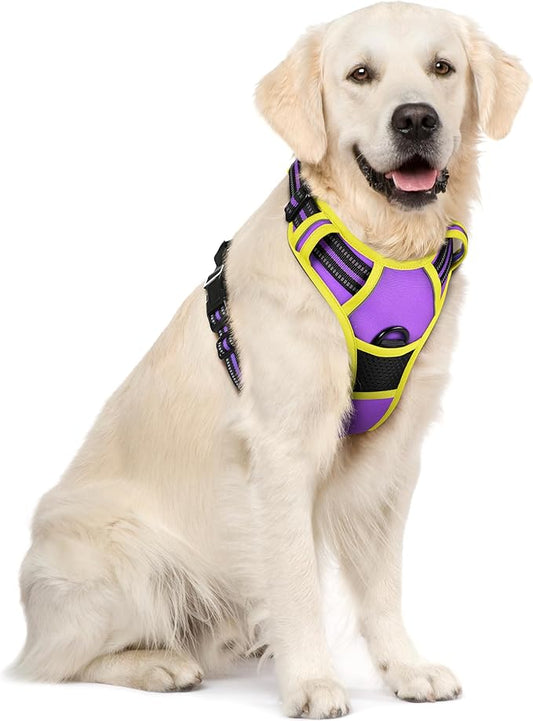rabbitgoo Dog Harness No Pull by rabbitgoo