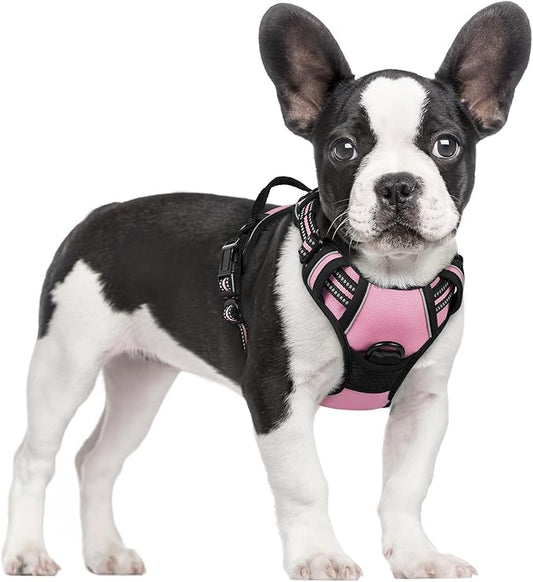 rabbitgoo Dog Harness No Pull by rabbitgoo