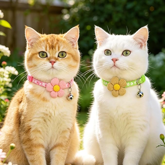PUPTECK Cat Collar Breakaway - Image 7