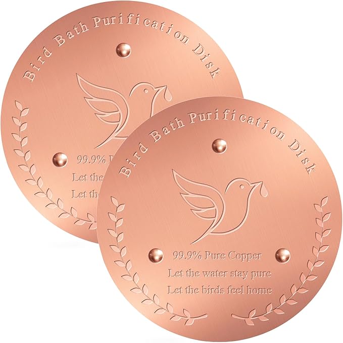 2 Pack Bird Bath Copper Disk – 1mm Thick 99.9% Pure Copper Disk, 100mm Diameter by Unknown