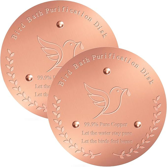 2 Pack Bird Bath Copper Disk – 1mm Thick 99.9% Pure Copper Disk, 100mm Diameter by Unknown