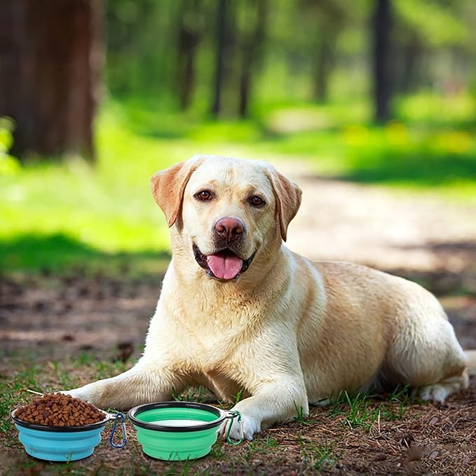 SLSON Collapsible Bowl with Cover Lids, 2 Pack Dog Travel Bowls Portable - Image 6