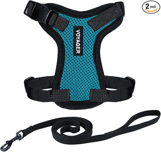 Voyager Escape-Proof Step-in Lock Cat Harness & 5ft Neoprene-Handle Leash Set by BestPetSuppliesLLC