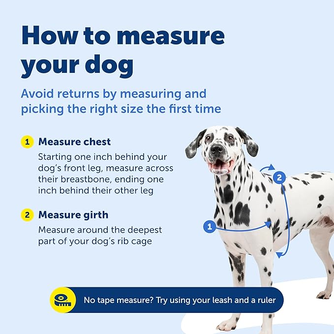 PetSafe Easy Walk No-Pull Dog Harness - Image 9