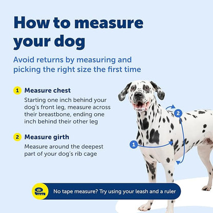 PetSafe Easy Walk No-Pull Dog Harness - Image 7