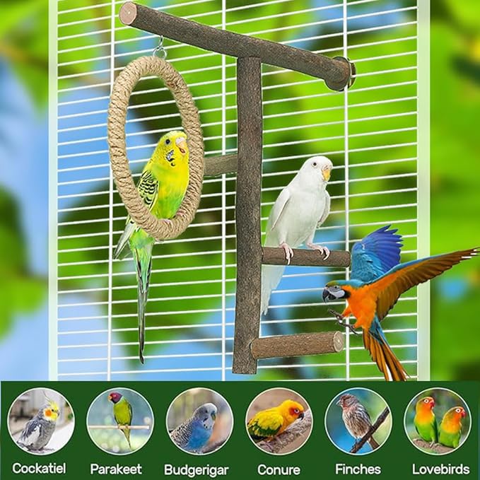 Bird Branch Perch Swing Toys, Natural Wood Parrot Cage Accessories - Image 2