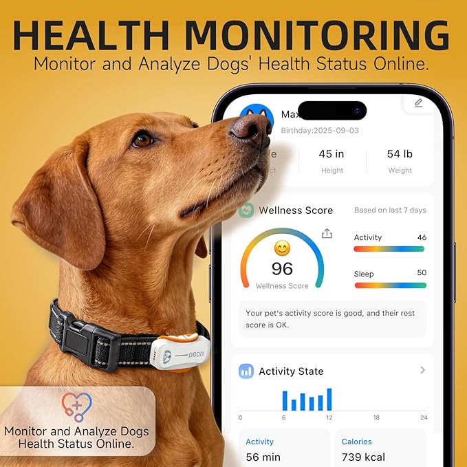 DBDD Dog GPS Tracker, AI Tracker Collar - Image 6
