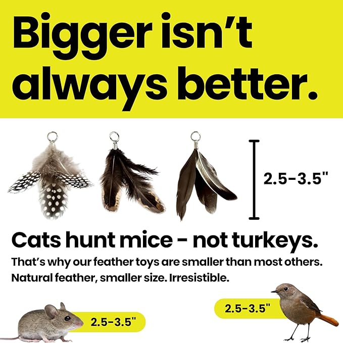 Forever Stick and 9 Cat Feather Toy Refills - Image 5