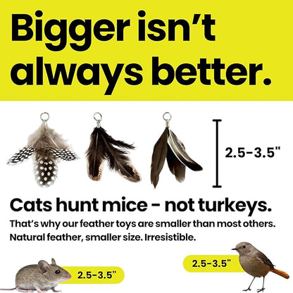 Forever Stick and 9 Cat Feather Toy Refills - Image 5