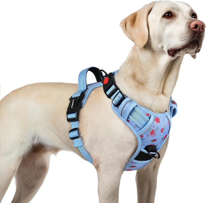rabbitgoo Dog Harness for Large, No Pull Easy On & Off by rabbitgoo