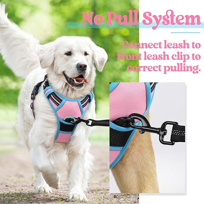 rabbitgoo Dog Harness No Pull - Image 6