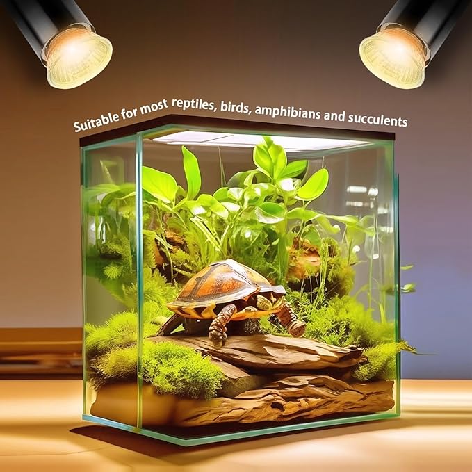4-Pack 25W UVA Bulbs, Fit E26 Heat Reptile Lamp, Light Turtle Heat Lamp - Image 5