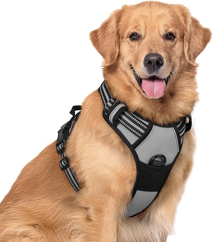 rabbitgoo Dog Harness No Pull by rabbitgoo