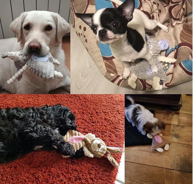 Comtim No Stuffing Dog Toys - Image 2