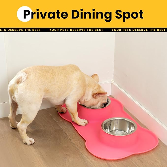 Conlun Medium Pet Feeding Station, 29oz Stainless Steel Dog Bowls Set, No Spill - Image 4