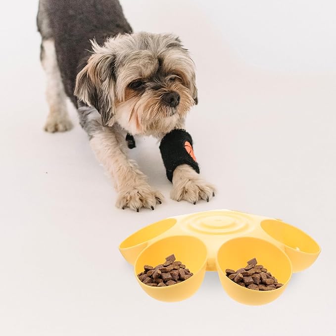 Alipis Multipurpose Flower-Shaped Pet Feeding Bowl, Plastic Multiple Pet Feeder - Image 8