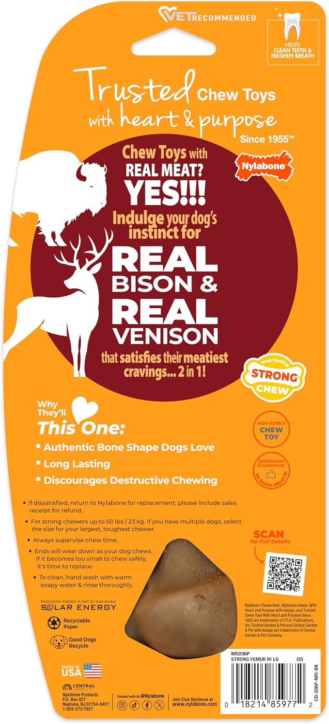 Nylabone Strong Chew Femur Bone Dog Toy Made - Image 9