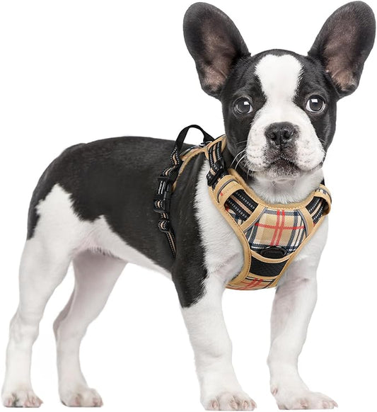 rabbitgoo Dog Harness No Pull by rabbitgoo