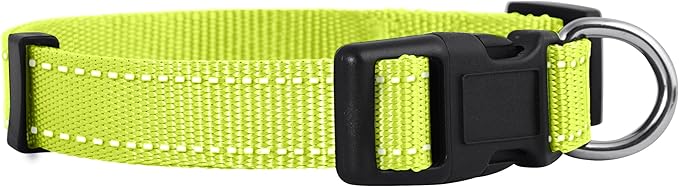 Native Pup Reflective Dog Collar, Bright Glow Colors by NativePup