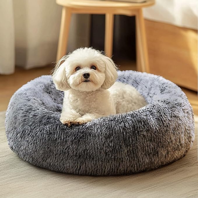 JOLLYVOGUE Dog & Cat Bed, Calming Anti-Anxiety Pet Bed by JOLLYVOGUE