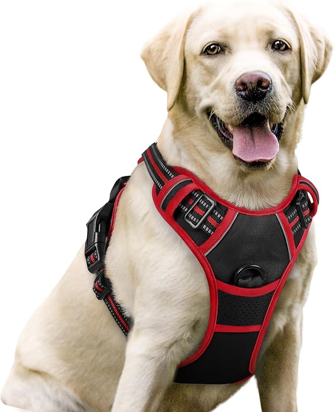 rabbitgoo Dog Harness No Pull by rabbitgoo