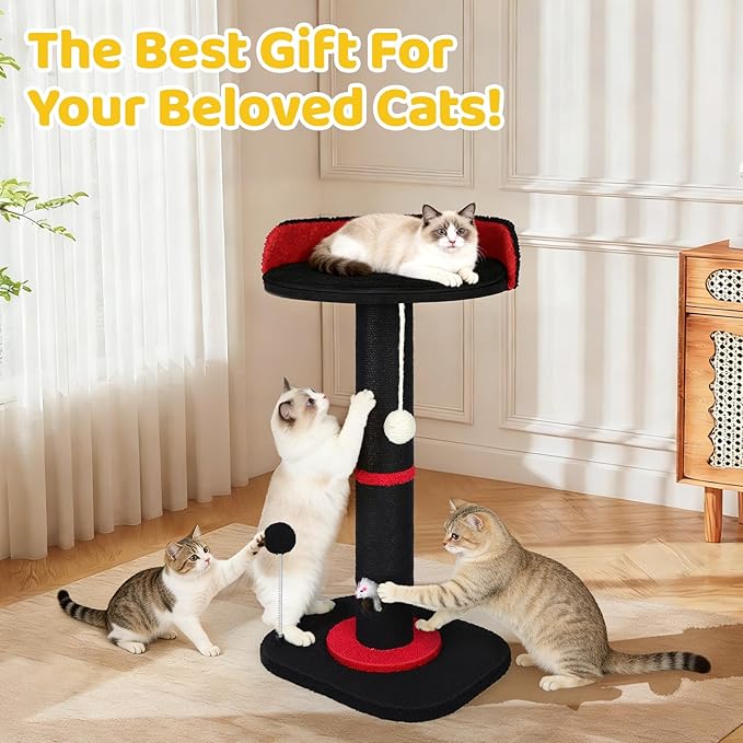 Tall Cat Scratching Post for Indoor Cats Adults, Cat Scratch Post - Image 8