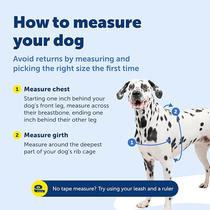 PetSafe Easy Walk No-Pull Dog Harness - Image 7