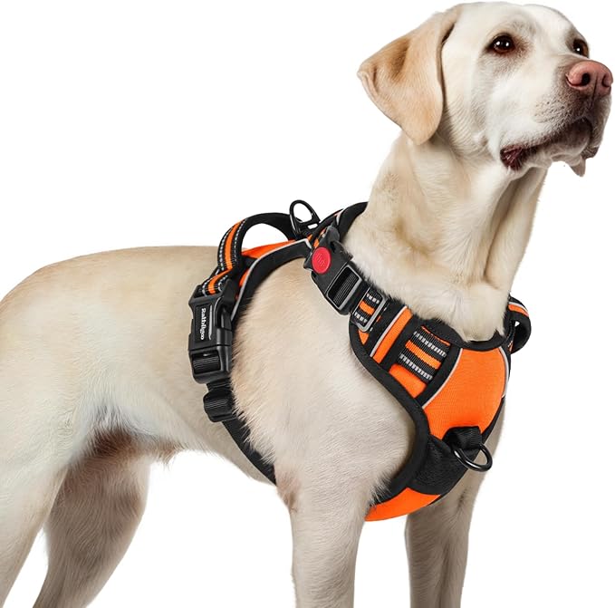 rabbitgoo Dog Harness for Large, No Pull Easy On & Off by rabbitgoo
