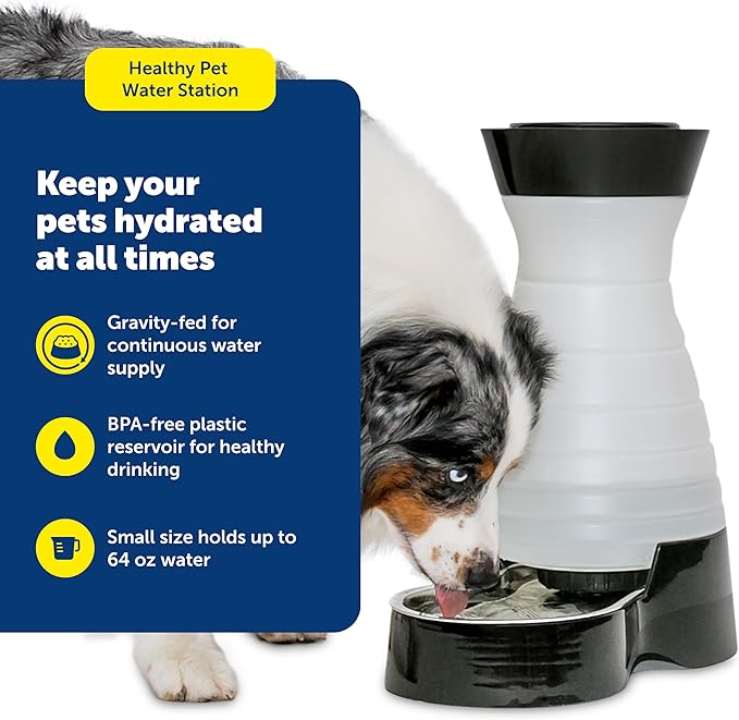 PetSafe Healthy Pet Water Station - Image 2