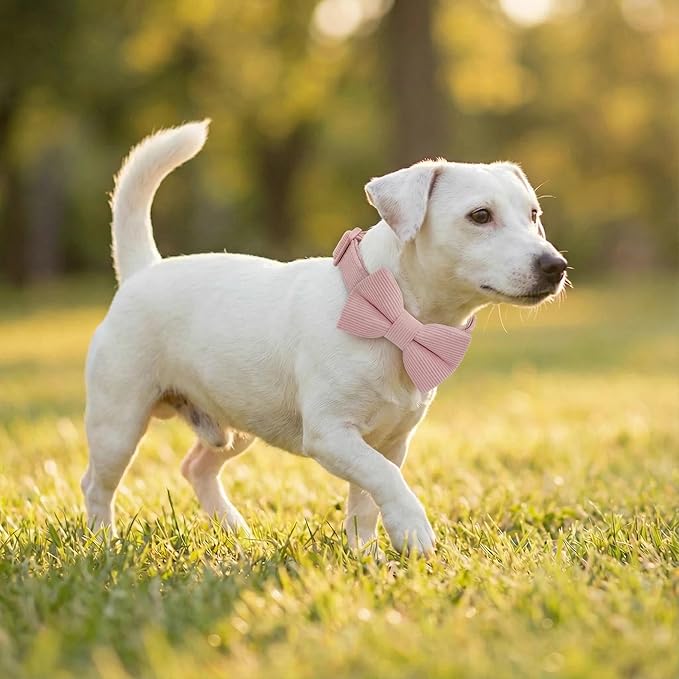THAIN Dog Collar with Bow Tie Corduroy, Breathable&Adjustable Quick Release - Image 6