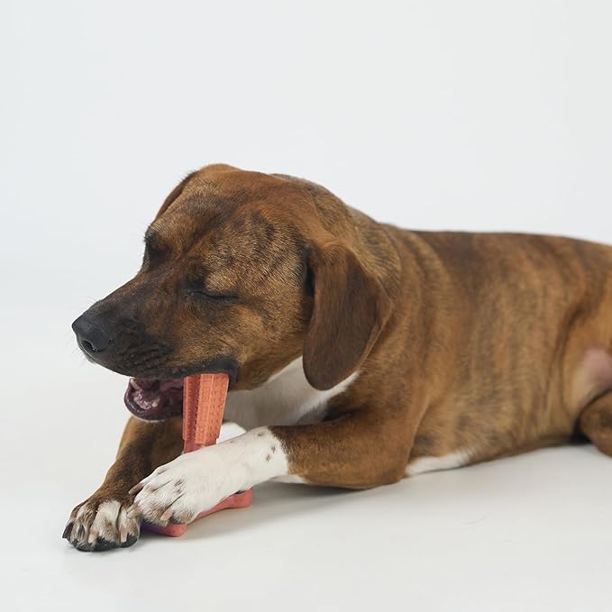 SPOT Bam-Bones Plus T Bone – Bamboo Fiber & Nylon Dog Chew Toy - Image 16