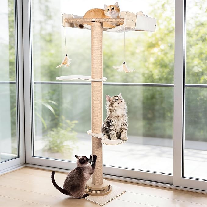 Fantasreen Cat Window Hammock 48" Adjustable Scratching Posts, Sunbathing & by Fantasreen