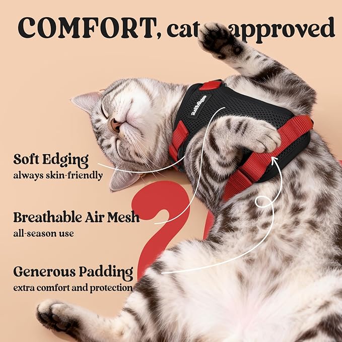rabbitgoo Cat Harness and Leash Set, Escape Proof Kitten Harness - Image 4